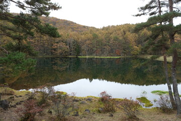 山奥の池