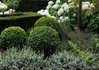 Lovely garden with blooming plants and green shrubbery. Landscape design