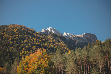 autumn in the mountains