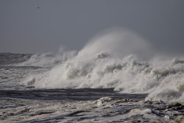 Detailed stormy breaking wave