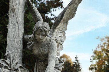 Fototapeta premium Beautiful statue of angel at cemetery, space for text. Funeral ceremony