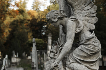 Fototapeta premium Beautiful statue of angel at cemetery, space for text. Funeral ceremony