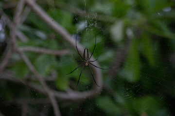 ブセナ海中公園周辺の景色