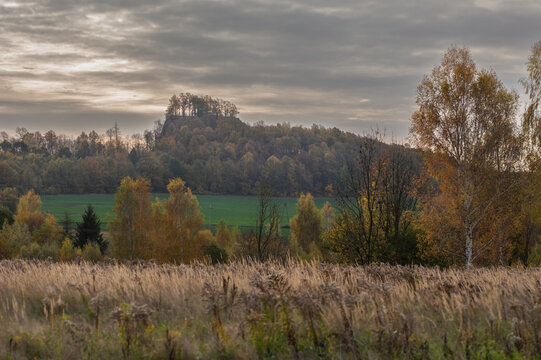 Wilcza G&oacute;ra