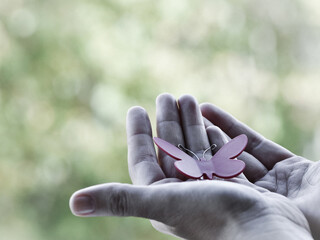 butterfly in hands