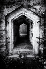 Fototapeta na wymiar Old ruins in black and white