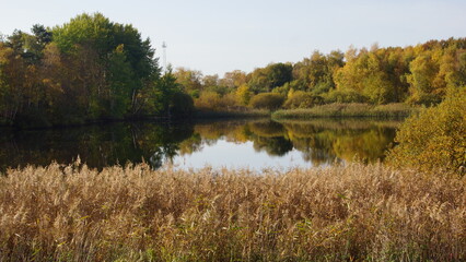Sch&ouml;ner Teich im Herbst