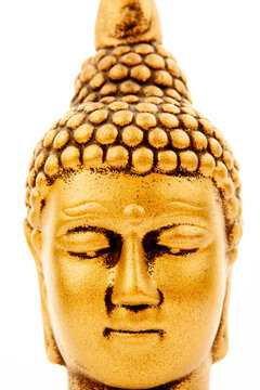 image of gold buddha head white backgorund 