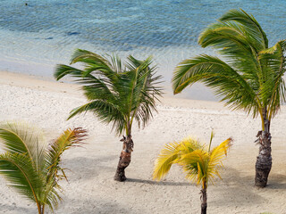Mauritius, beach