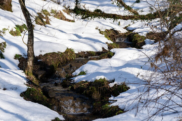 Fototapeta na wymiar 雪の里山・雪が積もった水辺の風景