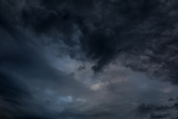 Fototapeta premium Picturesque view of bird in sky with heavy rainy clouds