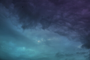 Naklejka na ściany i meble Picturesque view of birds in sky with heavy rainy clouds