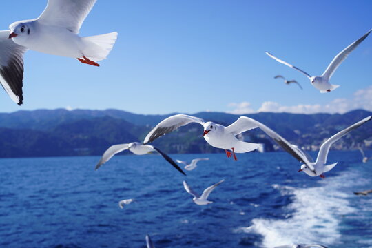 上の空 Images – Browse 365 Stock Photos, Vectors, and Video | Adobe Stock
