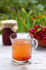 Cup of tea, jam and ripe viburnum berries on white wooden table outdoors