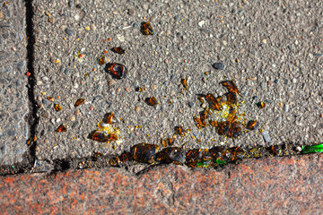 Broken glass on the asphalt . Broken bottle at the street