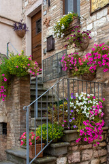 Fototapeta na wymiar Umbria - La scaletta della casa fiorita
