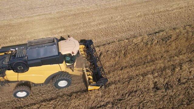 Harvest season, Aerial view of harvesting combine working in agricultural field