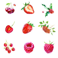 Watercolor illustration, set. Rowan, cherry berries, strawberries, raspberries on a branch, holly.