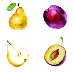 Watercolor illustration, set. Fruit. Pear and plum. - 542179474