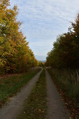 Felder-Wiese-Natur-Berge