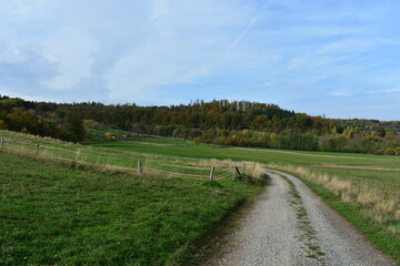 Fototapeta na wymiar Felder-Wiese-Natur-Berge