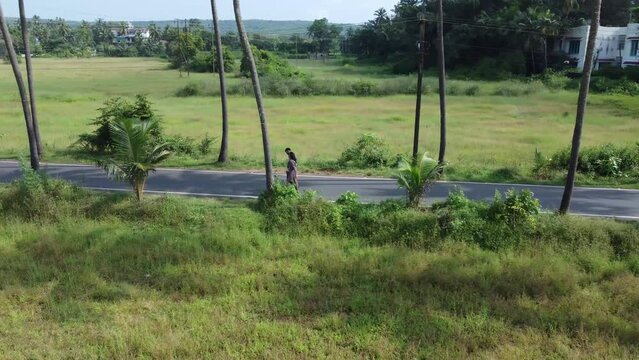 drone shots of Dear Zindagi Raod known as the Parra coconut tree road, in North Goa. 