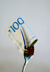 sweden money 100 Kronor banknote, close up