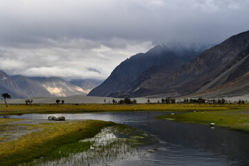 Diskit is a village in Nubra Valley, Ladakh. Diskit Monastery is the oldest and largest Buddhist...