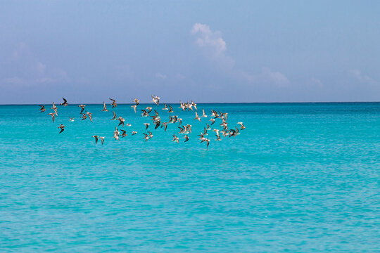 Zanzibar Flights