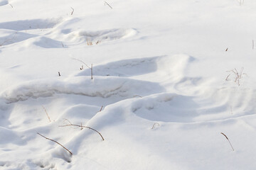 Fototapeta na wymiar Imprint of an angel with wings in the snow in winter