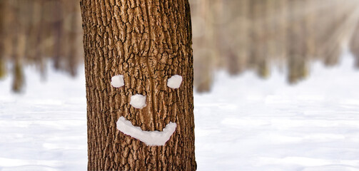a creative, smiling face made of snowballs on a tree trunk in the forest on a sunny winter day.