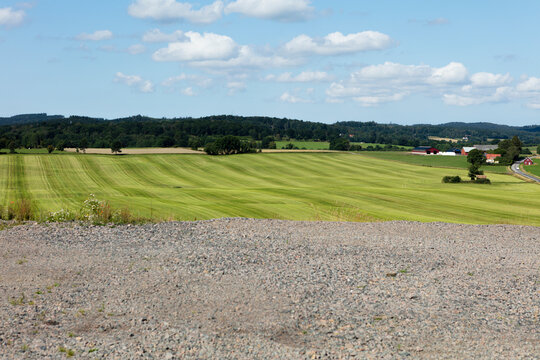 New cut feeld summer gras, Sweden Asta