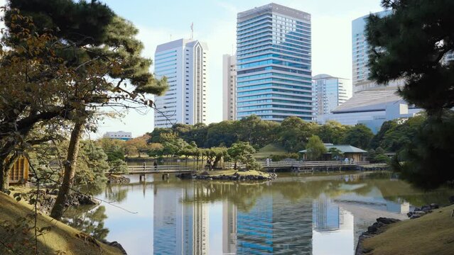 浜離宮恩賜庭園の風景動画