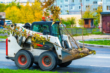  Front view of the open bucket of the machine - loader, delivering plants and tree seedlings from the nursery for landscaping city streets, city park. Seasonal transplant, landscaping service.