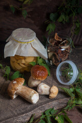 Porcini mushroom commonly known as Boletus Edulis, glass jar with canned mushrooms and glass jar with dry mushrooms on vintage wooden background..
