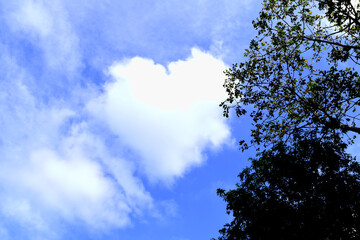 The heart shape cloud create by nature on the blue sky