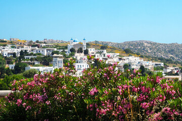 Obraz premium Falatados, dominated by its Cathedral Saint John/Holy Trinity, is a traditional mountain village of Tinos, famous island of the Cyclades, in the heart of the Aegean Sea.