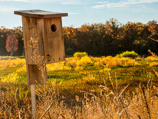 Bird House in Nature Preserve in the Fall