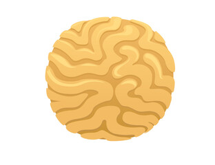 Yellow coral tropical underwater sea life vector illustration isolated on white background