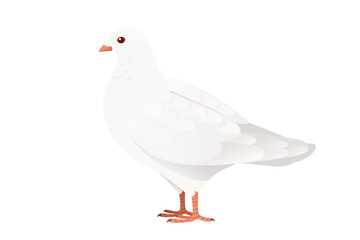 White pigeon dove bird symbol of peace vector illustration cartoon animal design isolated on white background