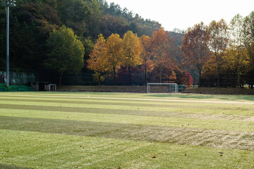 A soccer practice field with sparsely fallen leaves. autumn