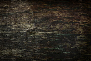 Old wood background. Grunge texture.