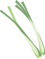 Lemon Grass isolated Illustration Hand Drawn