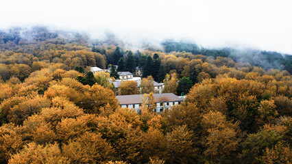 Obraz premium House surrounded by trees with autumn colors