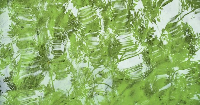 Ondulation et jeux de lumi&egrave;res sur eau