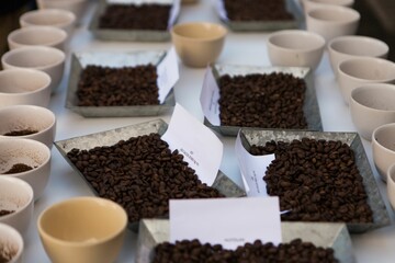 Selective focus shot of coffee cups and beans arranged for tasting