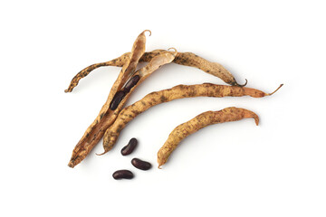 Obraz premium harvest seeds from dried beans pods, save vegetable seeds to plant next year, isolated on white background, taken from above