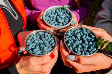 wild berries
