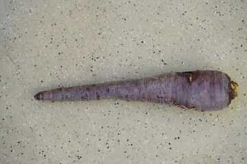 Daucus carota subsp. sativus , Cosmic Purple red and purple whose common names include wild carrot, European wild carrot, bird's nest, bishop's lace, is a flowering plant in the family Apiaceae.