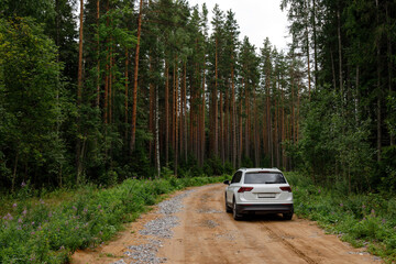Obraz na płótnie Canvas A white crossover car stands on a dirt road in a coniferous forest.